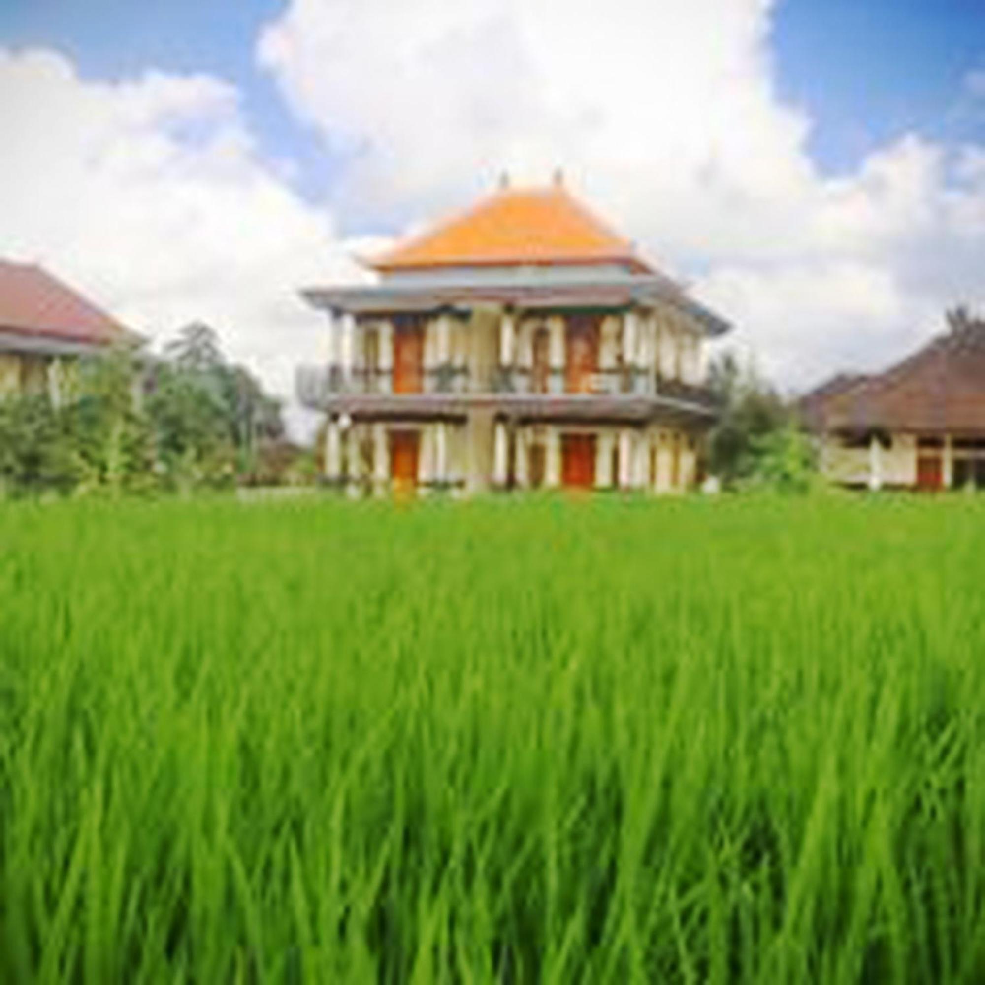 Puri Prana Guest House Ubud Exterior foto