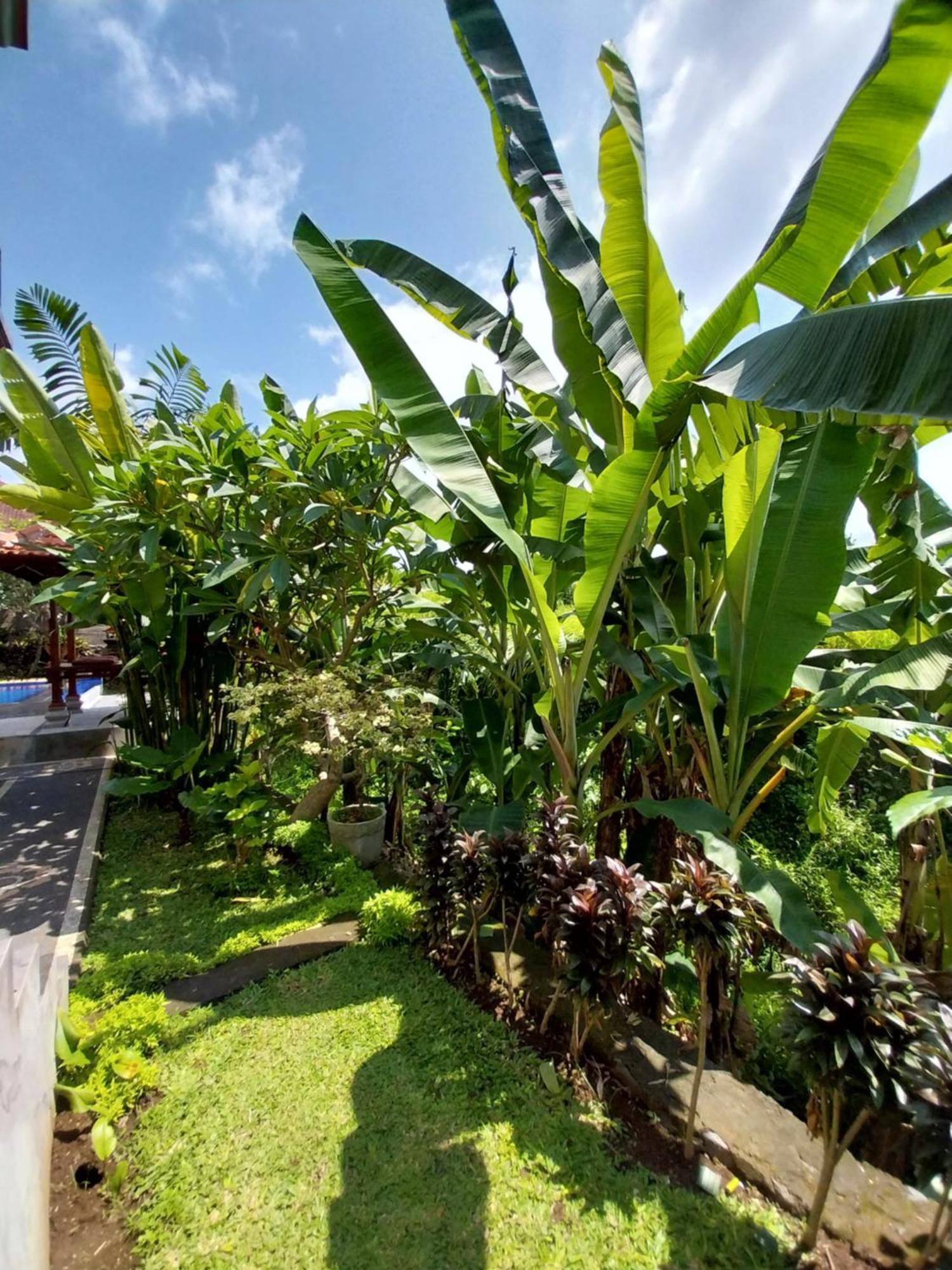 Puri Prana Guest House Ubud Exterior foto